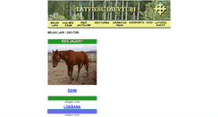 Desktop Screenshot of dievturi.org